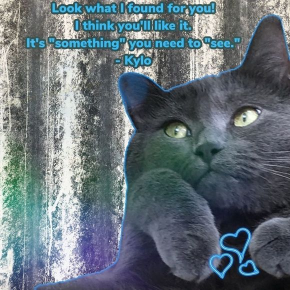 Cats-eye-mint? Yes, It's A Real Thing...on Posh - Picture 7 of 9